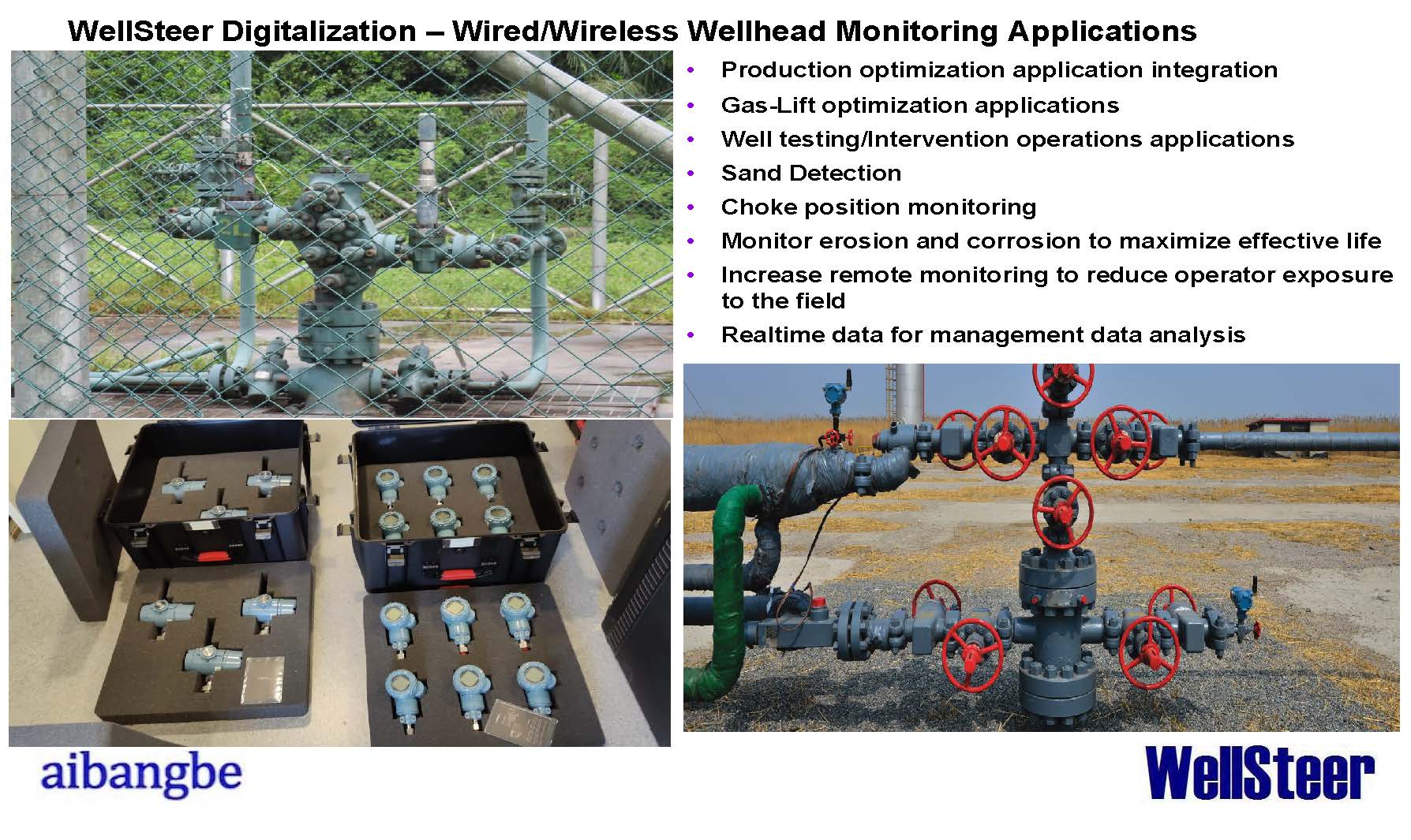 Wellhead Continuous Monitoring System